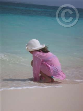 Click for large image