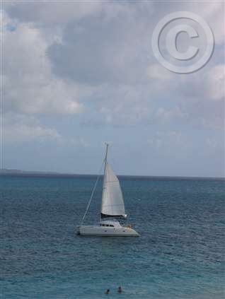 Click for large image