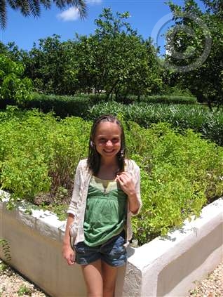 Click for large image