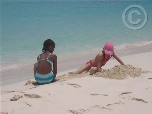 Click for large image