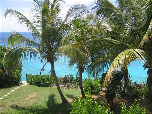 Click for large image