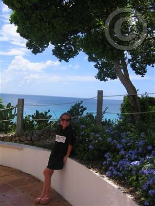 Click for large image