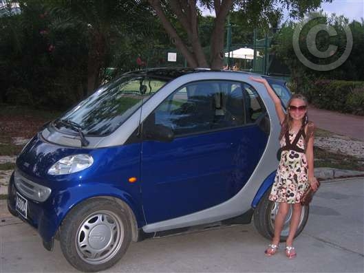 Click for large image