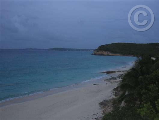 Click for large image