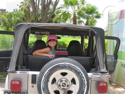 Click for large image