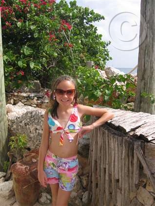 Click for large image