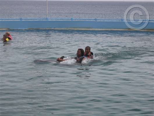 Click for large image