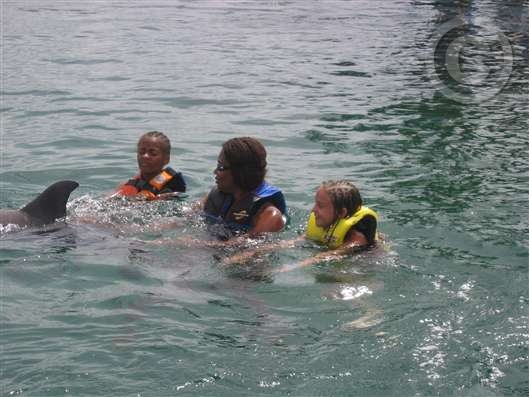 Click for large image