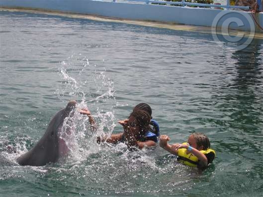 Click for large image