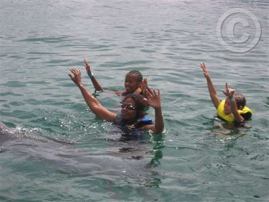 Click for large image