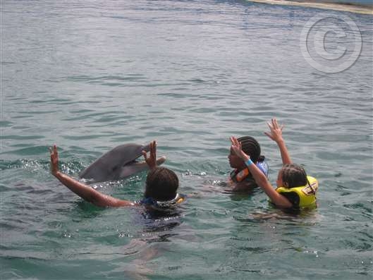 Click for large image