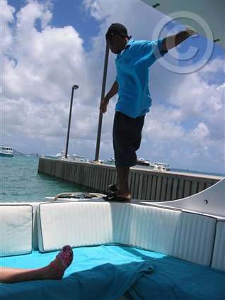 Click for large image