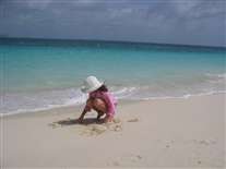 Click for large image