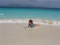 Click for large image