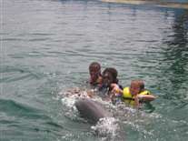 Click for large image