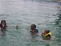 Click for large image