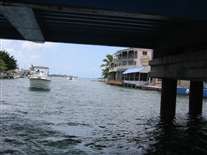 Click for large image