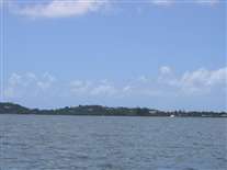 Click for large image