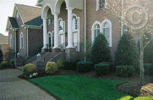 Click for large image