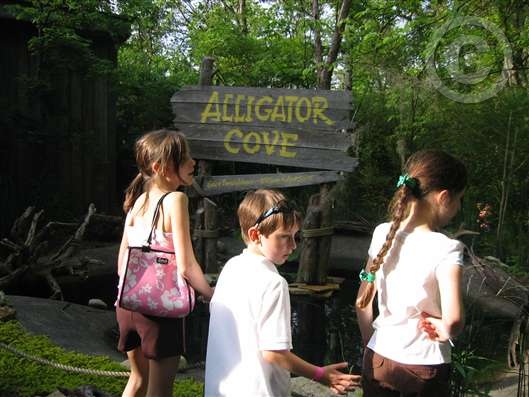 Click for large image