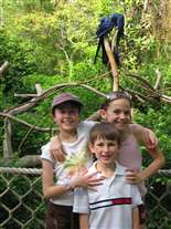 Click for large image