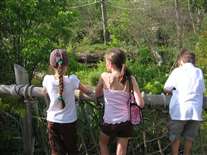 Click for large image