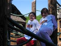 Click for large image