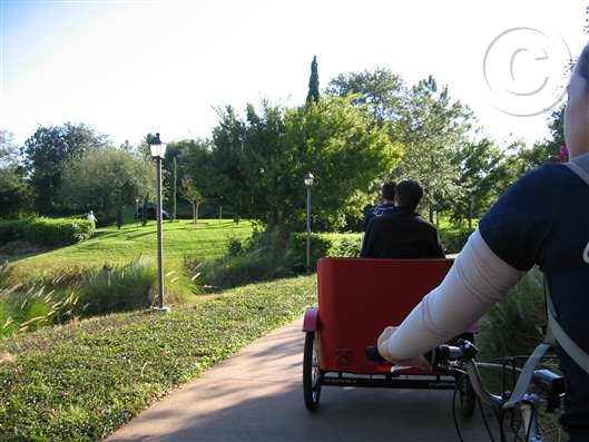 Click for large image