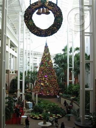 Click for large image