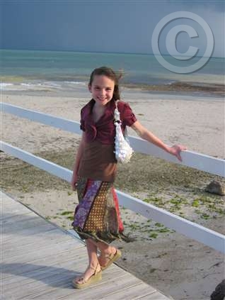 Click for large image