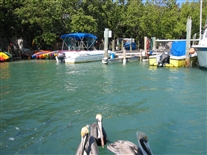 Click for large image