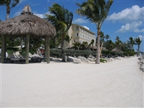 Click for large image