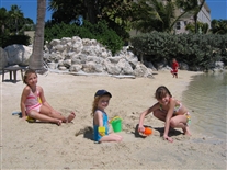 Click for large image