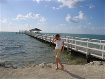 Click for large image